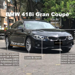 BMW-S4GC-info