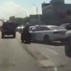 Video de seguridad vial