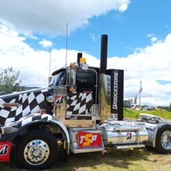 Bridgestone-Mulas