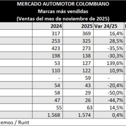 WhatsApp Image 2025-12-04 at 14.33.54 (3)