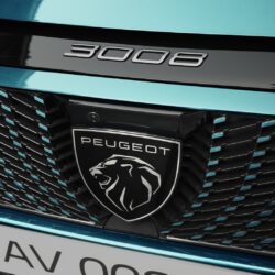 Peugeot E-3008
